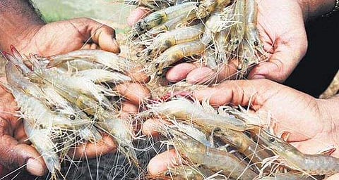 പ്രതീകാത്മക ചിത്രം