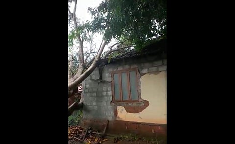 വീഡിയോ സ്‌ക്രീന്‍ഷോട്ട്‌