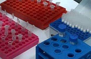 പ്രതീകാത്മക ചിത്രം