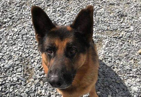 പ്രതീകാത്മക ചിത്രം