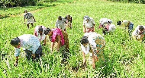 പ്രതീകാത്മക ചിത്രം