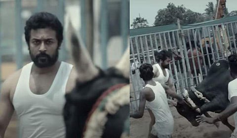 വീഡിയോ ദൃശ്യം