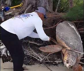 വീഡിയോ ദൃശ്യം
