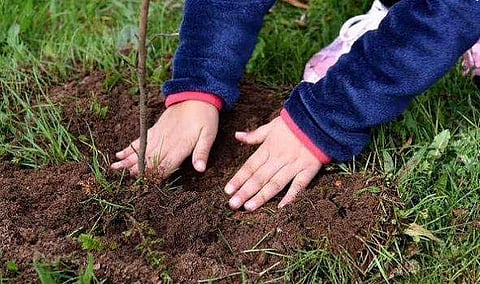 ഫയല്‍ ചിത്രം