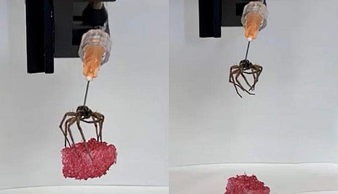 വീഡിയോ ദൃശ്യം