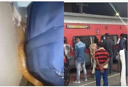 ട്രെയിനില്‍ പാമ്പ്/ ടിവി ദൃശ്യം