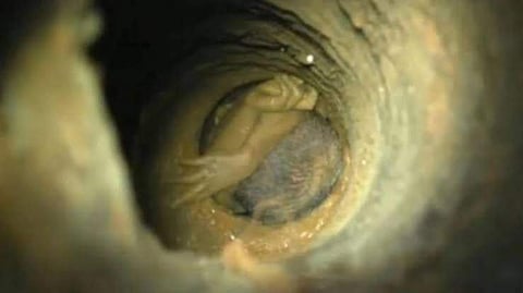 പ്രതീകാത്മക ചിത്രം