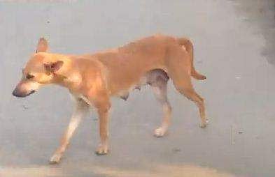 പ്രതീകാത്മക ചിത്രം