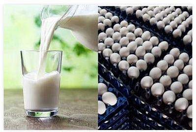 ഫയല്‍ ചിത്രം