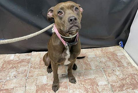 പ്രതീകാത്മക ചിത്രം