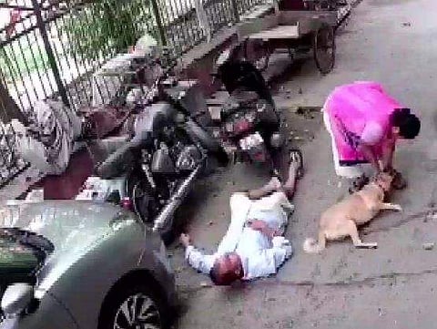 വളര്‍ത്തുനായയ്ക്കും ഉടമയ്ക്കും നേരെ യുവാവിന്റെ പരാക്രമം, എഎന്‍ഐ