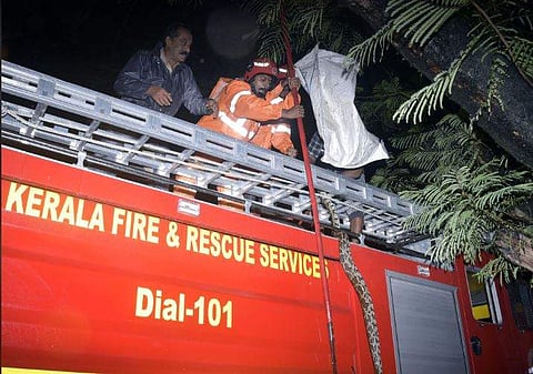 പെരുമ്പാമ്പിനെ പിടികൂടാനുള്ള ഫയര്‍ഫോഴ്‌സിന്റെ ശ്രമം