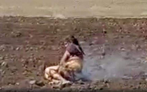 വീഡിയോ ദൃശ്യം