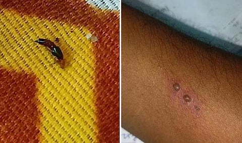 ട്വിറ്റര്‍ ചിത്രം