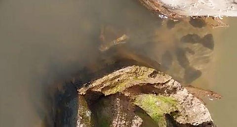 വെള്ളത്തിന്റെ അടിയില്‍ ചുരുണ്ടു കിടക്കുന്ന അനാക്കോണ്ടയുടെ ദൃശ്യം