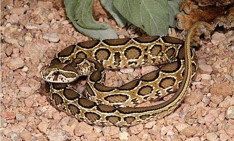 ഫയല്‍ ചിത്രം