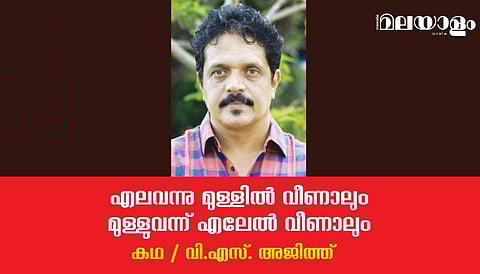 'എലവന്നു മുള്ളില്‍ വീണാലും മുള്ളുവന്ന് എലേല്‍ വീണാലും'- വി.എസ്. അജിത്ത് എഴുതിയ കഥ