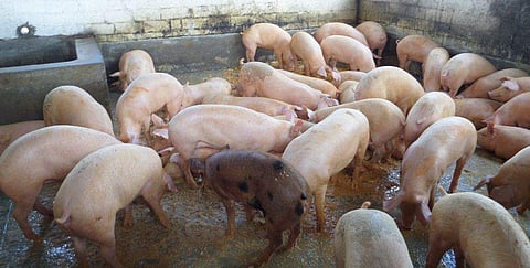 ഫയല്‍ ചിത്രം