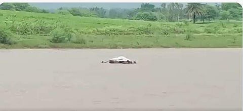 വീഡിയോ സ്‌ക്രീന്‍ഷോട്ട്