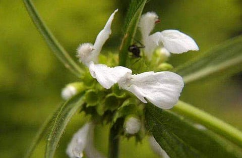 പ്രതീകാത്മക ചിത്രം