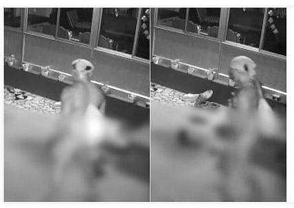 സിസിടിവി ദൃശ്യങ്ങളില്‍ നിന്ന്‌