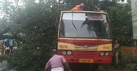 ബസിനു മുകളിലേക്കു വീണ മരം മുറിച്ചുമാറ്റുന്നു