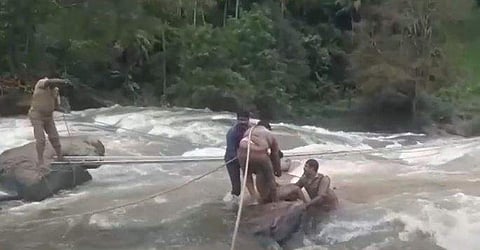 വീഡിയോ ദൃശ്യം