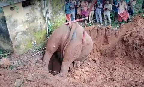 വിഡിയോ സ്ക്രീൻഷോട്ട്