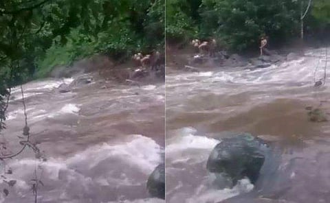 വീഡിയോ ദൃശ്യം