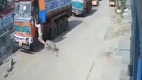 ലോറിയില്‍ കയറാന്‍ ശ്രമിക്കുന്നതിനിടെ കാലില്‍ കടിച്ചുവലിക്കുന്ന പുലിയുടെ ദൃശ്യം