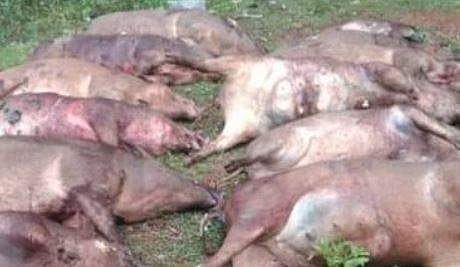 ടെലിവിഷൻ ദൃശ്യം