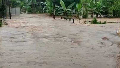 ടെലിവിഷൻ ദൃശ്യം