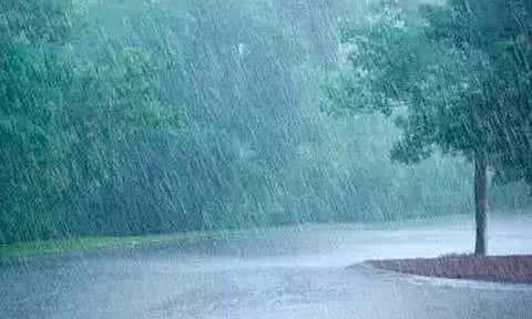 ചിത്രം: ജില്ലാ ഇന്‍ഫര്‍മേഷന്‍ ഓഫീസ്