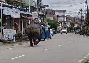 വീഡിയോ ദൃശ്യം