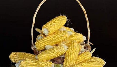 പ്രതീകാത്മക ചിത്രം