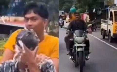 വീഡിയോ ദൃശ്യം