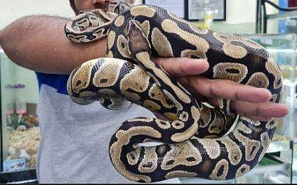 പ്രതീകാത്മക ചിത്രം