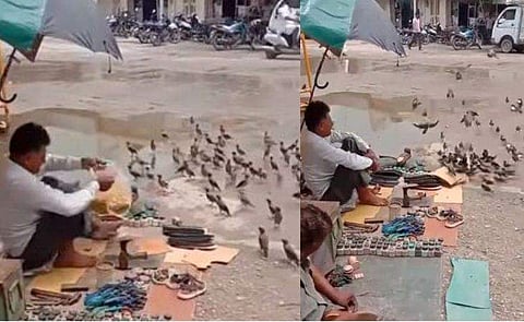 വീഡിയോ ദൃശ്യം