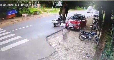 അക്രമാസക്തമായ ആനയെ കണ്ട് ഓടിമറയുന്ന പാപ്പാന്റെ ദൃശ്യം