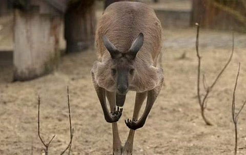 പ്രതീകാത്മക ചിത്രം