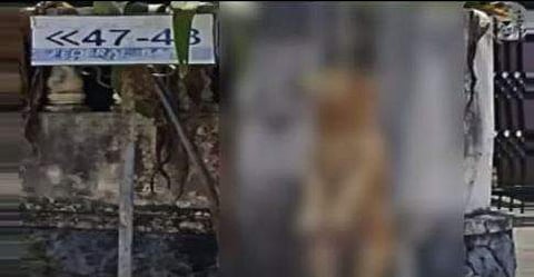 വീഡിയോ ദൃശ്യം