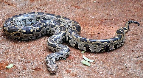 ഫയല്‍ ചിത്രം