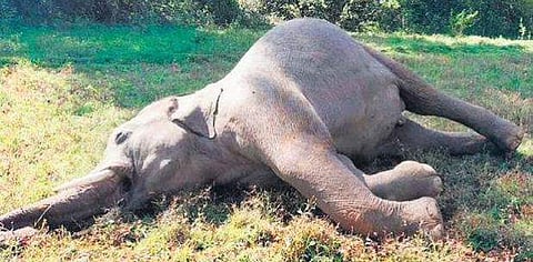 പ്രതീകാത്മക ചിത്രം