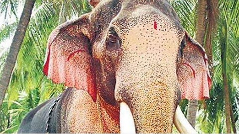 തെച്ചിക്കോട്ടുകാവ് രാമചന്ദ്രന്‍, ഫയല്‍ ചിത്രം