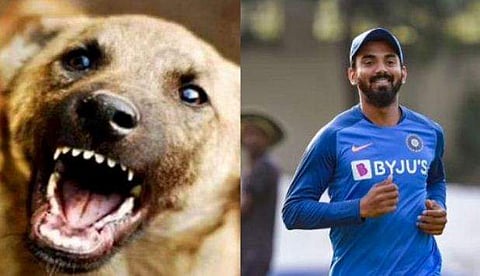 ഫയല്‍ ചിത്രം