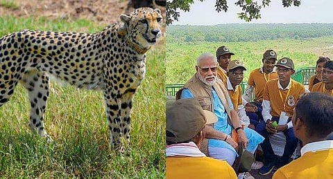 ചിത്രം: പിടിഐ