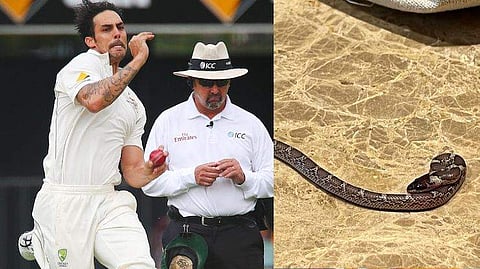 മിച്ചല്‍ ജോണ്‍സണ്‍