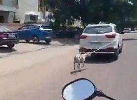 വീഡിയോ ദൃശ്യം