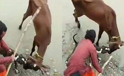 ചിത്രം:  ട്വിറ്റര്‍