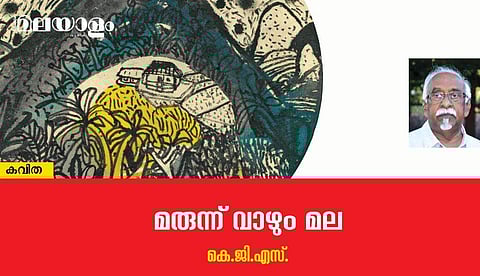 'മരുന്ന് വാഴും മല'- കെ.ജി.എസ് എഴുതിയ കവിത         